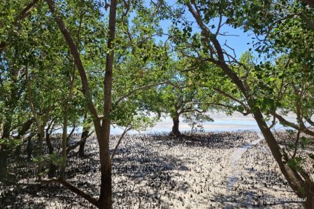 2025-05-13 12.14.36.jpg