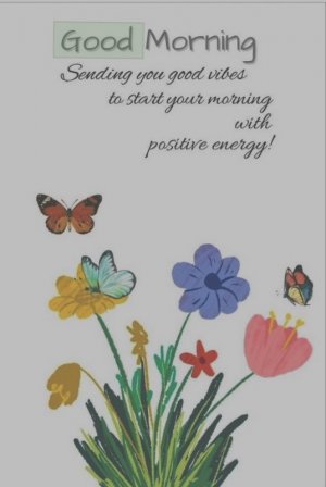 Screen Shot 2024-07-28 at 8.11.35 AM.jpeg