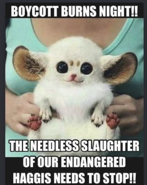 Screen Shot 2025-12-02 at 9.15.09 AM.jpg Screen Shot 2025-12-02 at 9.15.09 AM.jpg