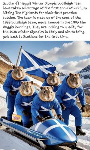 1000008526.jpg 1000008526.jpg