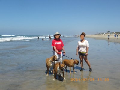 2024-07-29 Dog Beach.jpg