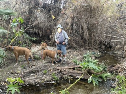 2022-12-27  hiking 2.jpg