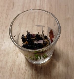 WhatsApp Image 2025-12-08 at 11.31.35.jpeg