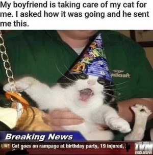 boyfriend and cat joke.jpg