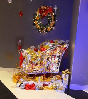 20221129_175117.jpg 20221129_175117.jpg