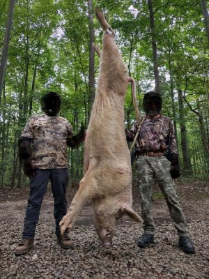 1765264656995.jpeg 1765264656995.jpeg