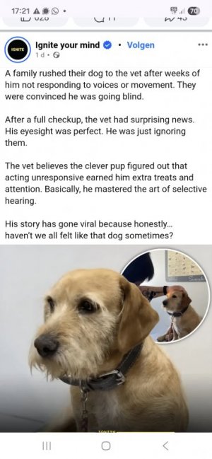 1000041234.jpg 1000041234.jpg