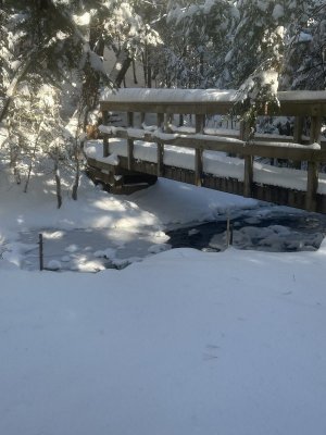 IMG_1685.jpeg IMG_1685.jpeg