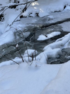 IMG_1691.jpeg IMG_1691.jpeg