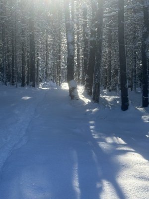 IMG_1694.jpeg IMG_1694.jpeg