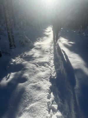 IMG_1695.jpeg IMG_1695.jpeg