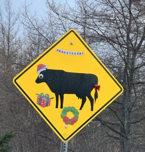 IMG_1663.jpeg IMG_1663.jpeg