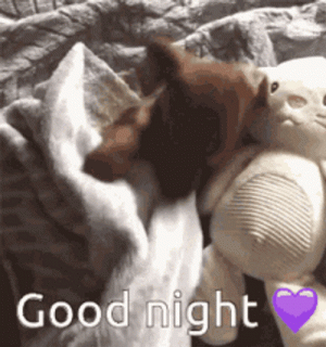 good-night-cute-dog-stuffed-toy-sleeping-bed.gif