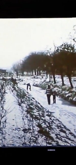 1000041318.jpg 1000041318.jpg