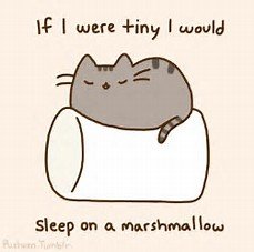 if i were tiny , i would sleep on a Marshmallow.jpg