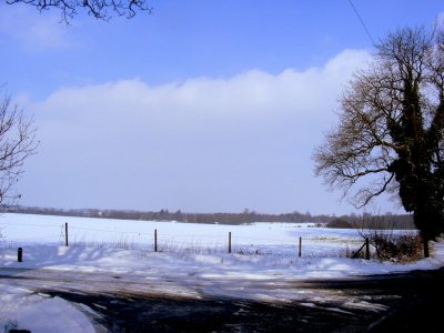 DSCF6804.JPG DSCF6804.JPG