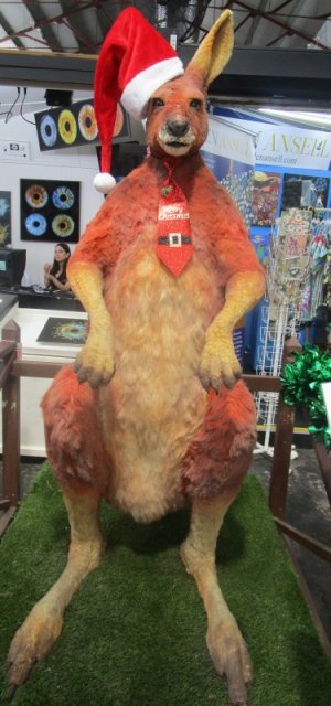 Captain Kangaroo.JPG