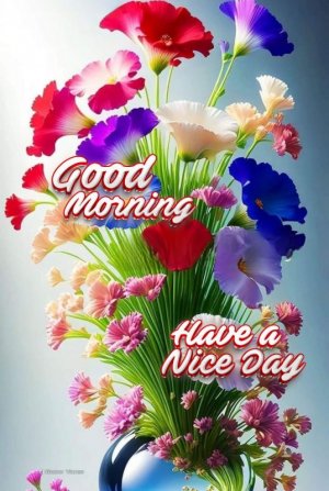 goood morning fl.jpg