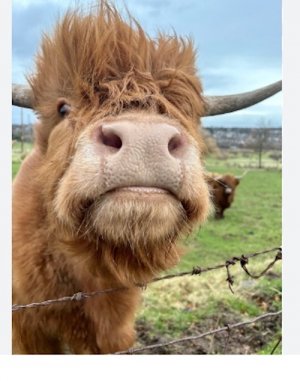 Screen Shot 2025-12-02 at 9.26.27 AM.jpg