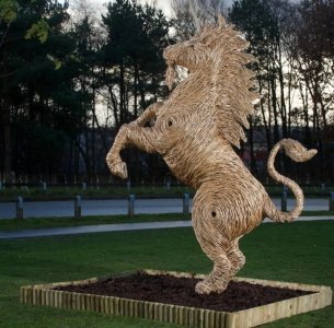 IMG_20251212_120741.jpg IMG_20251212_120741.jpg