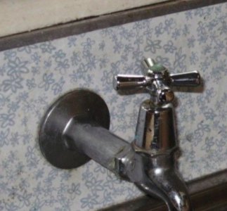 IMG_1684.jpeg IMG_1684.jpeg