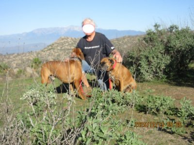 2025-12-13.jpg 2025-12-13.jpg