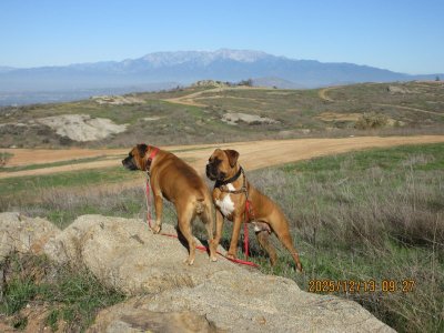 IMG_4781.JPG IMG_4781.JPG