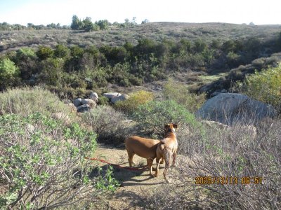 IMG_4768.JPG IMG_4768.JPG