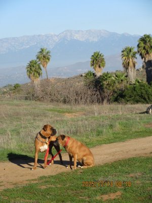 IMG_4753.JPG IMG_4753.JPG