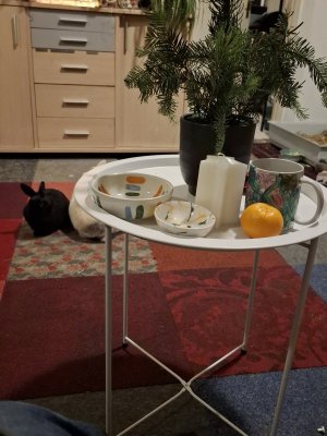 1000041600.jpg 1000041600.jpg