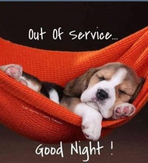 good night service.jpg