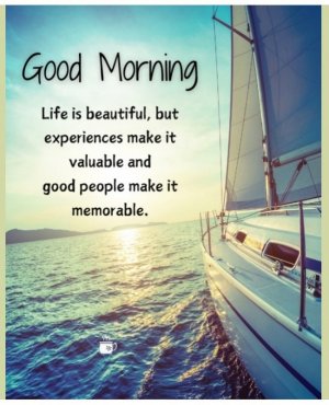 Screen Shot 2025-05-01 at 8.40.05 PM Large 2.jpeg