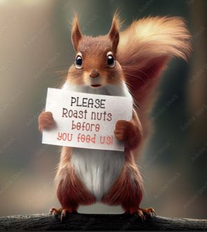 Squirrel-nutsign.jpg Squirrel-nutsign.jpg