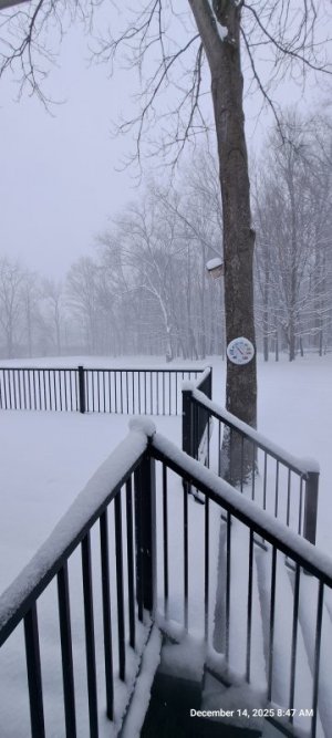 20251214_084741.jpg 20251214_084741.jpg