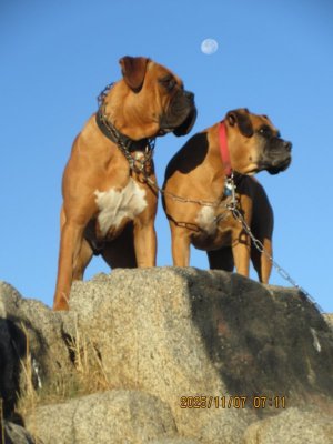 IMG_3230.JPG IMG_3230.JPG