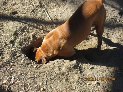 IMG_3360.JPG IMG_3360.JPG