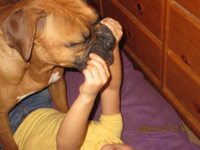 IMG_3851.JPG IMG_3851.JPG