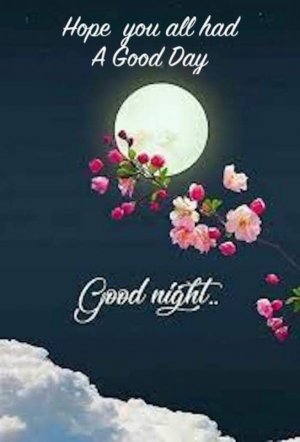 good night copy 3.jpg