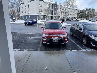 IMG_3665.jpeg IMG_3665.jpeg