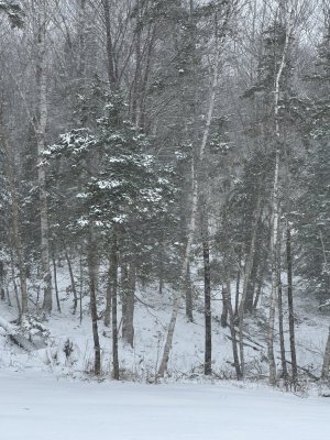 IMG_1748.jpeg IMG_1748.jpeg