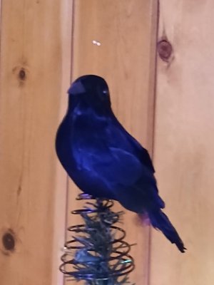 WhatsApp Image 2025-12-15 at 14.22.58 (1).jpeg