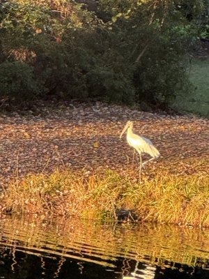 IMG_7521.jpg IMG_7521.jpg