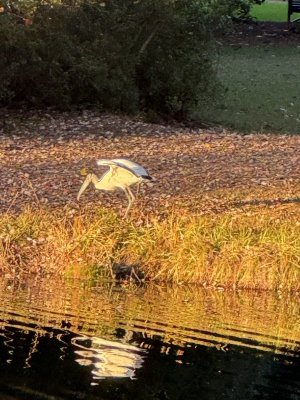 IMG_7523.jpg IMG_7523.jpg