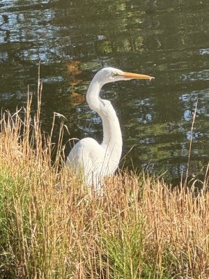 IMG_7550.jpg IMG_7550.jpg