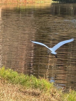 IMG_7552.jpg IMG_7552.jpg