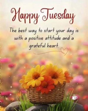 IMG_1755.jpeg IMG_1755.jpeg