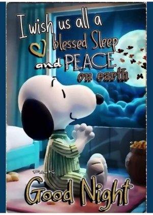 Screen Shot 2024-11-09 at 6.07.31 PM.jpeg