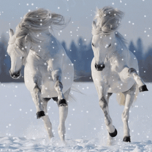 snowhorse.gif