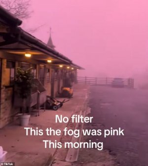 IMG_1522.jpeg IMG_1522.jpeg