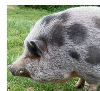 franklin2.jpg franklin2.jpg